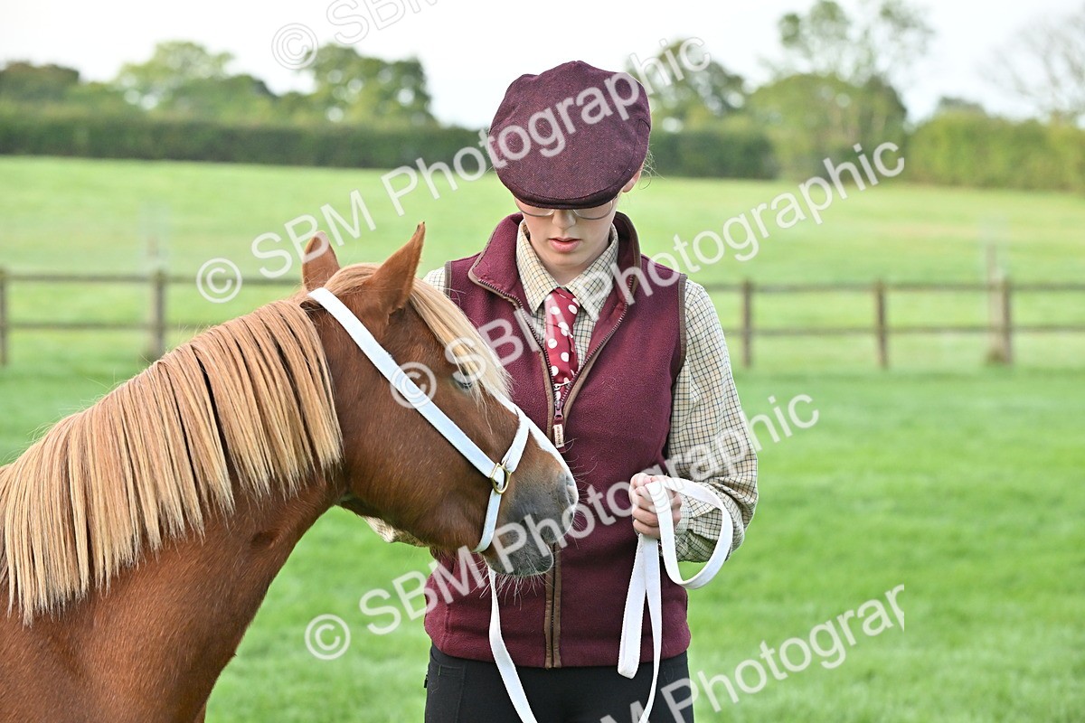 SBM_54611 - S44 - Youngstock In Hand