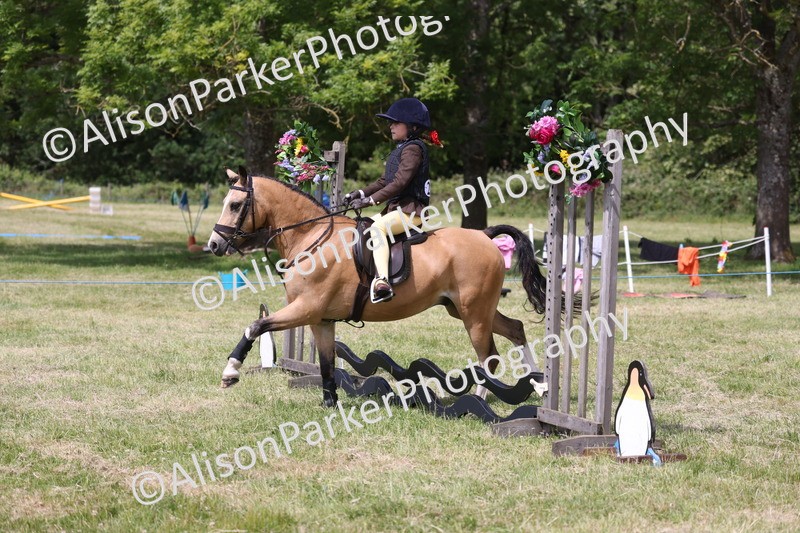 20260614-1900 - Class 21 - Novice Working Hunter Pony