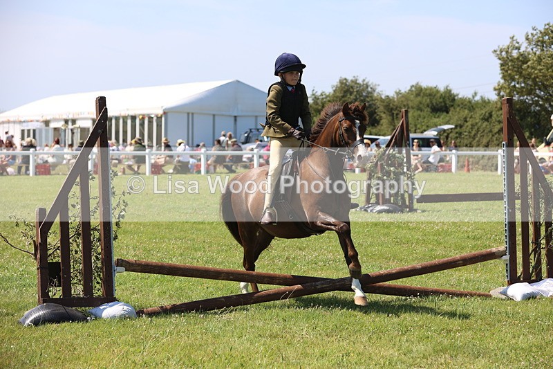 JPP_2222 - Class 20: Tiny Tots Working Hunter Pony