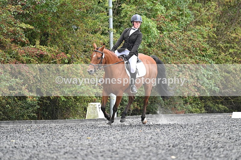 WJ7_3618 - Time 11:04 to 11:38