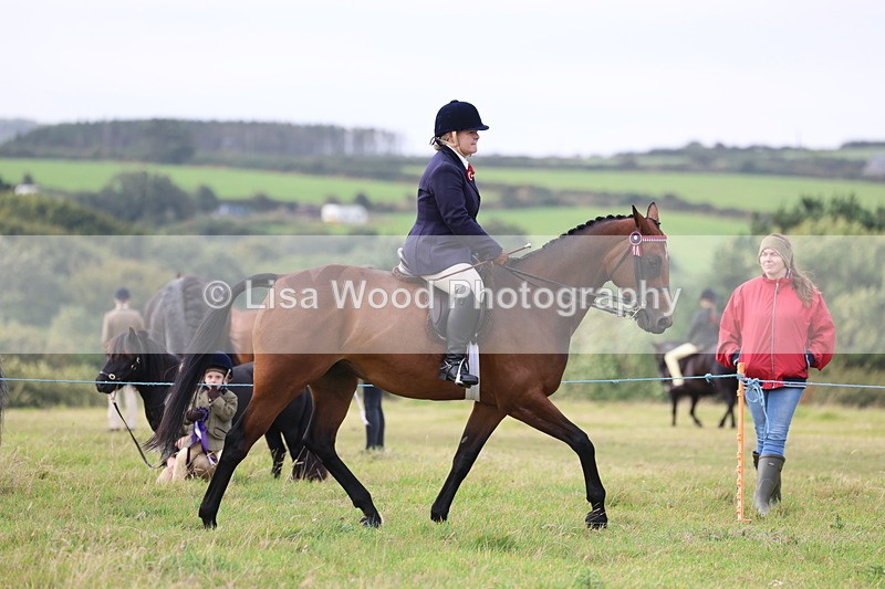 3E7A3943 - Class 4: Best Combination Open