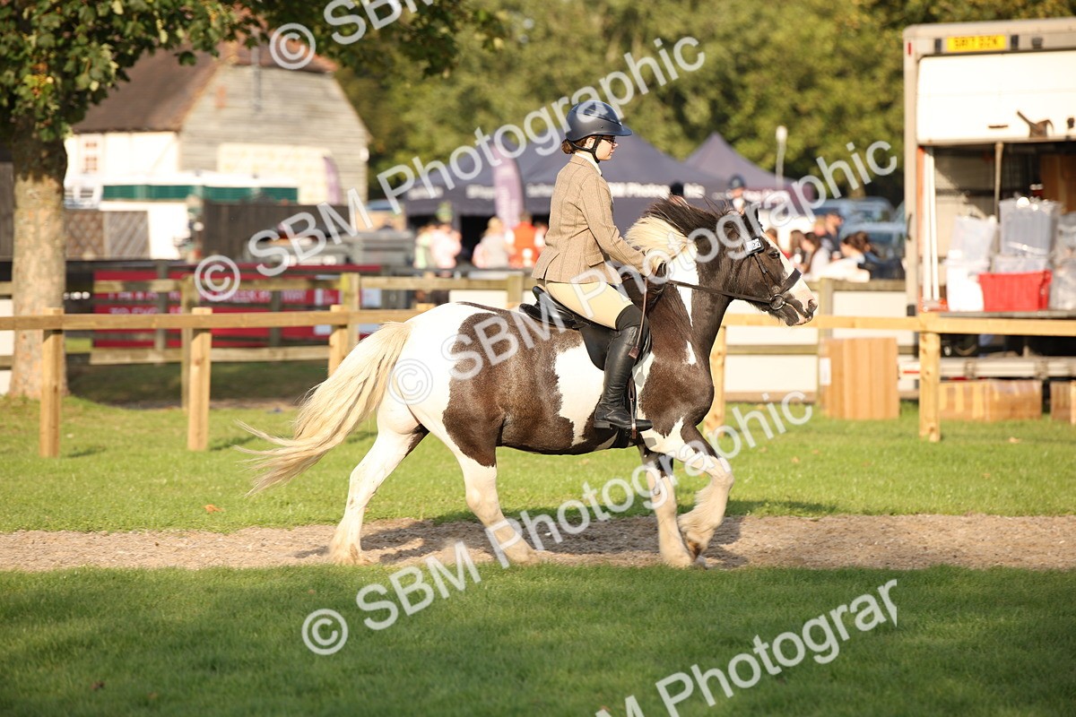 SBM_54349 - S27 - Mature Veteran - Ridden