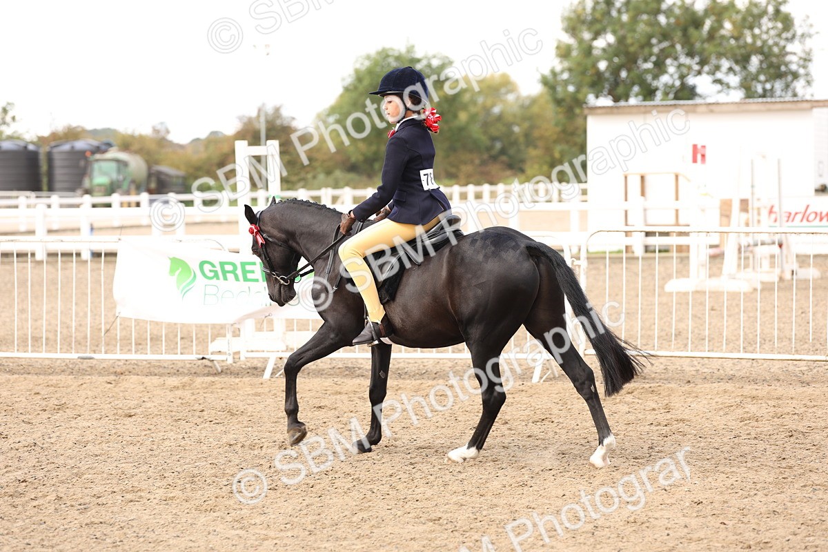 SBM_04250 - Class 54 - Riding Club Horse/Pony