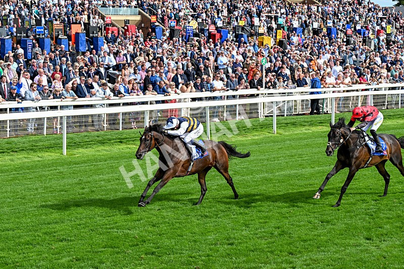 190826-Race 5-Small Fry-0662 - Race 5 16.10pm Sky Bet Stayers Handicap