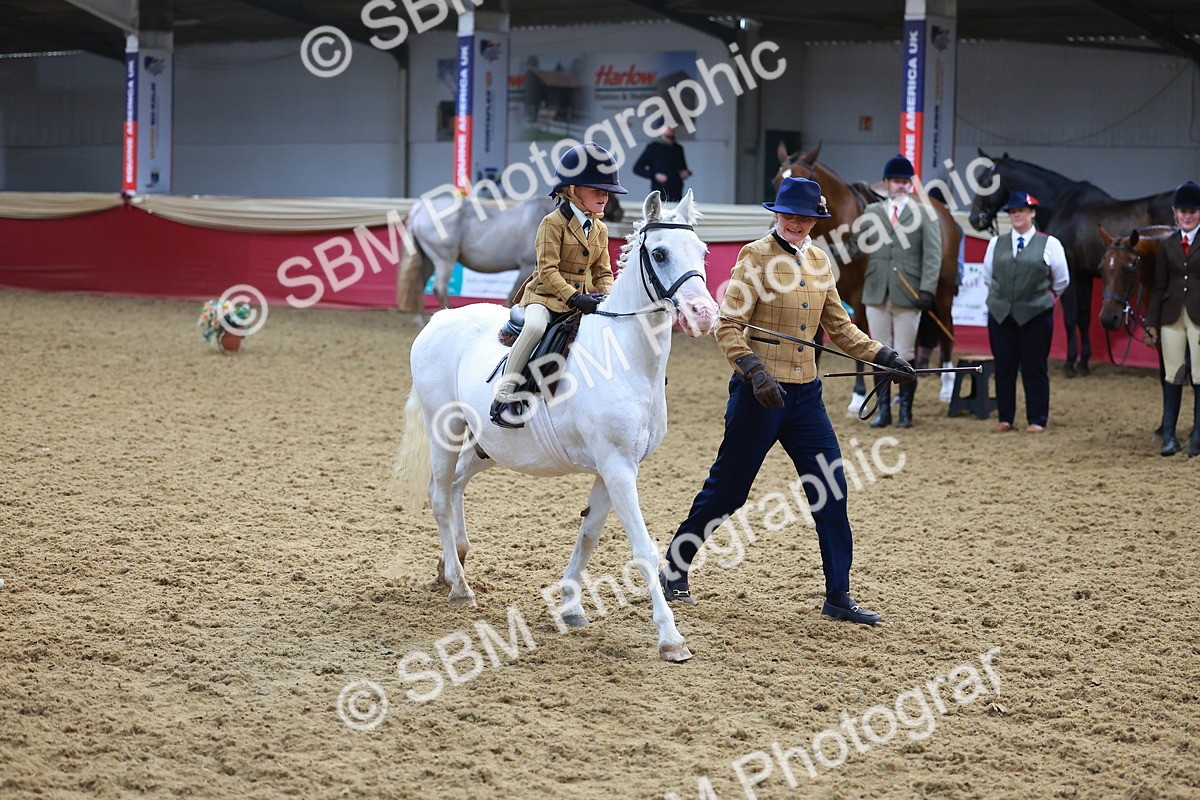 SBM_07705 - Class 101 - HOYS Veteran Qualifier - Ridden Diamond