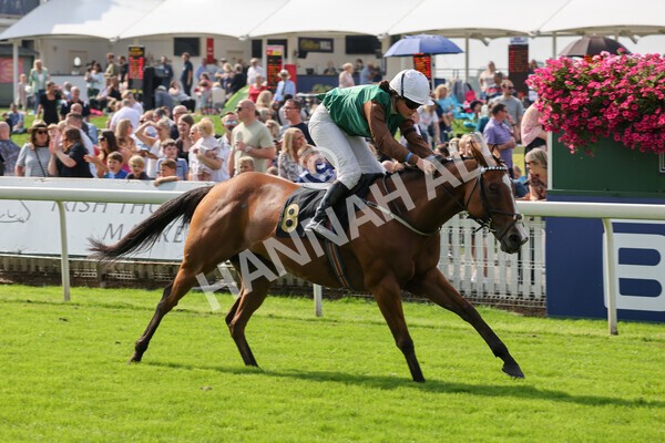 yr05092021rP-51 - Pony Races 138 and 148 cm