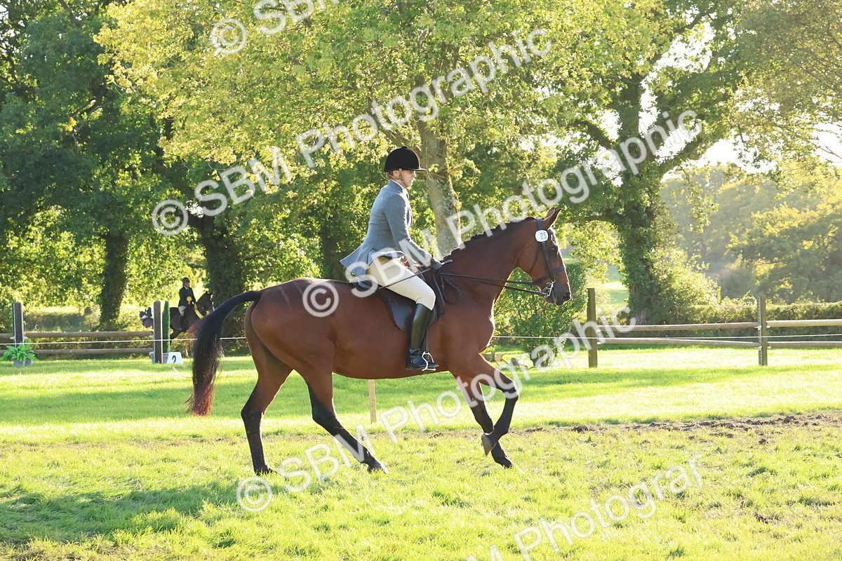 SBM_53006 - S29 - Mature Veteran Ridden