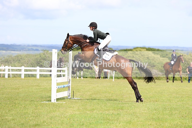 3E7A7514 - Class 13: Senior British Novice/90cm open