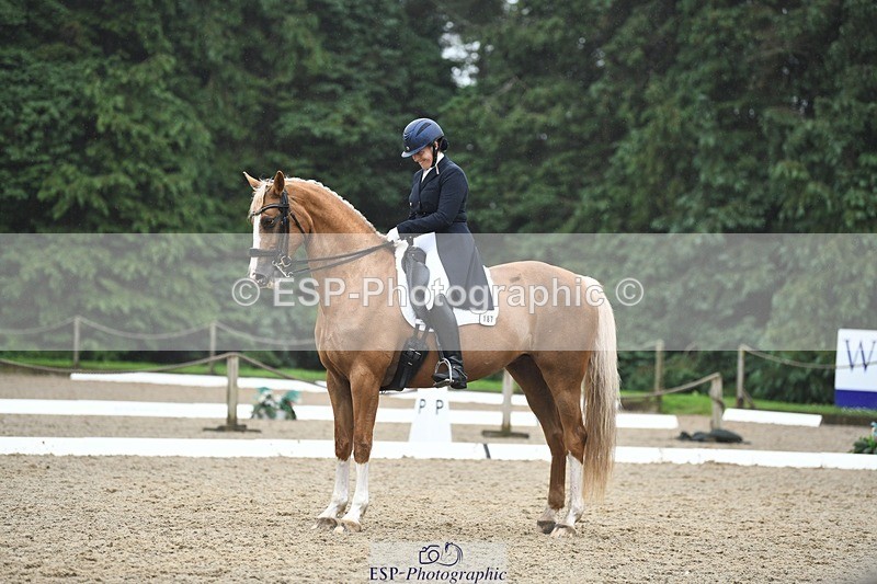 240720-145235-05860 - 187-Clare_Smith-Dori_Dragon_Fly