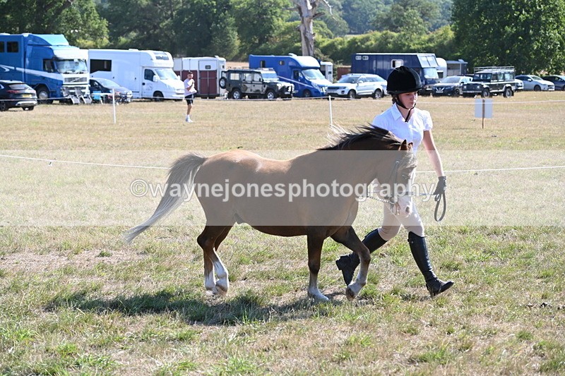 WJ6_7504 - Class 34 Judges Choice