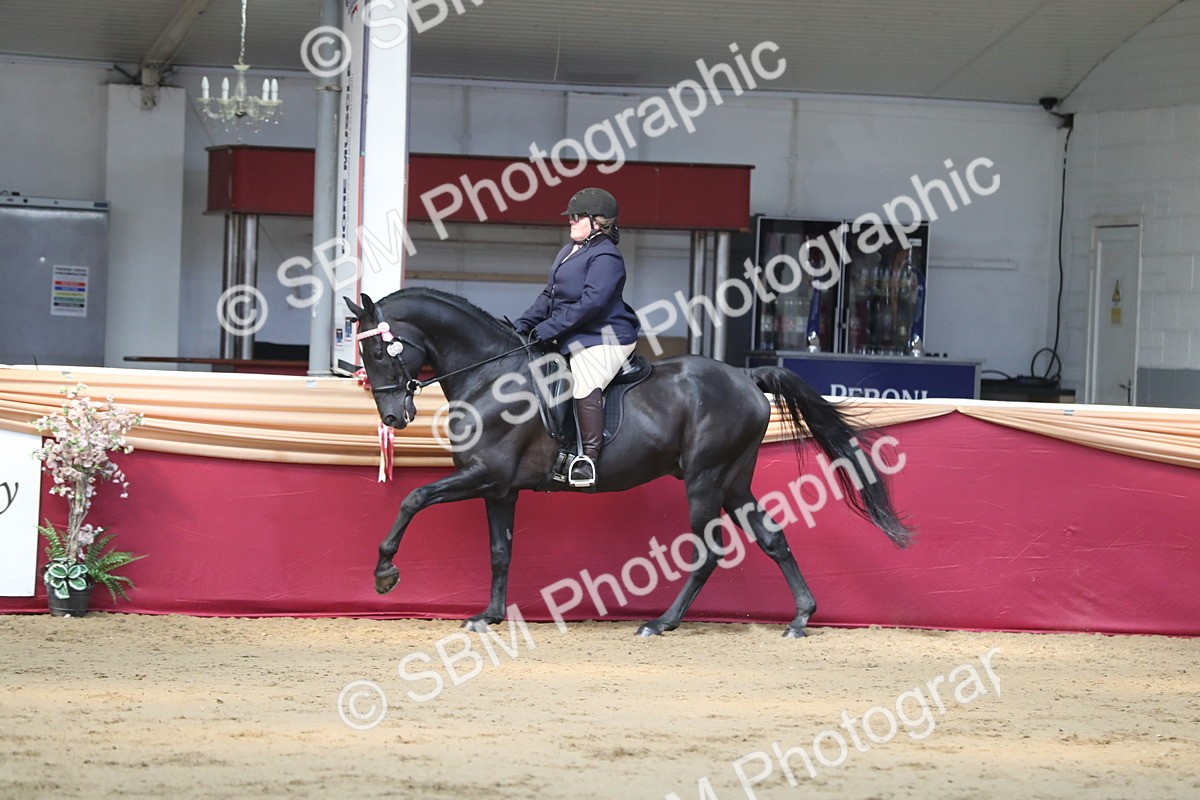 SBM_02950 - Class 6a Area Ridden Pre Vet