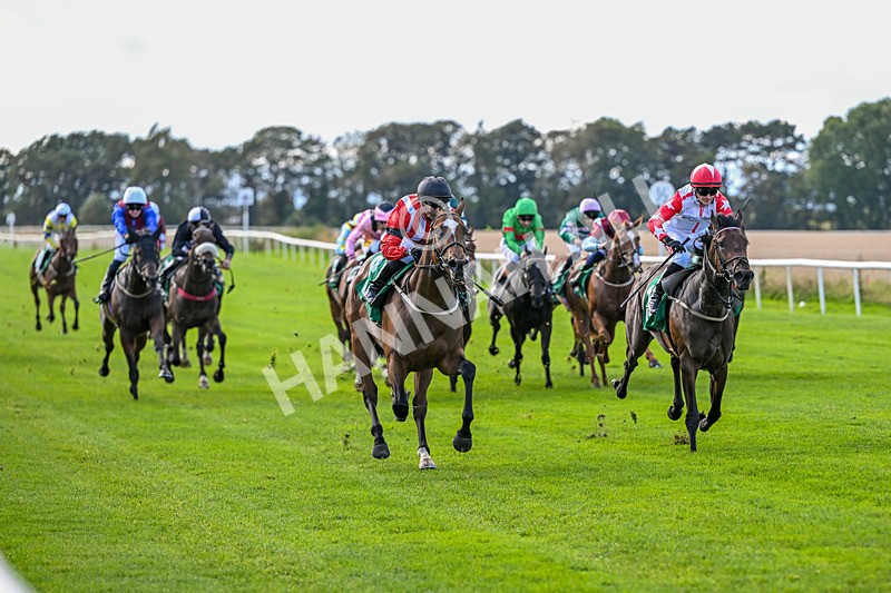 140926-Race 2-Bladey Lady-6805 - Race 2 2.51pm Patrick Hibbert-Foy Memorial Nursery Handicap