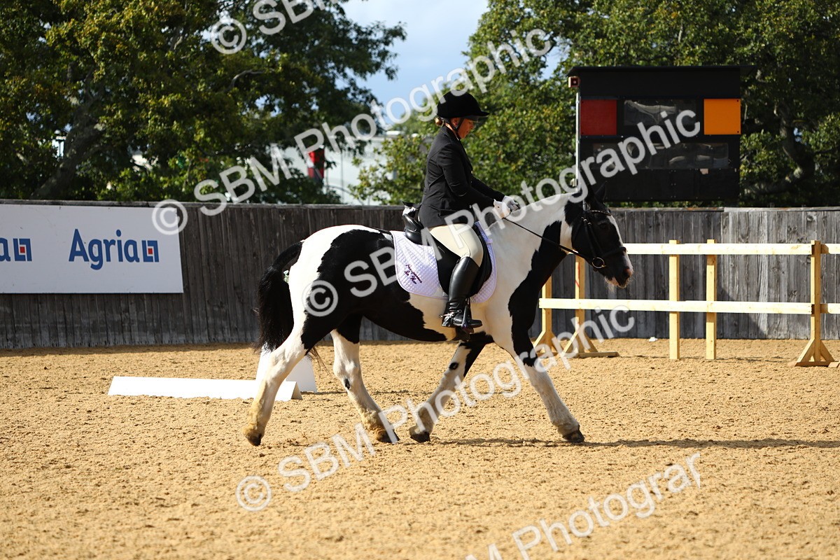 SBM_26734 - D11 - Small Tour Championship Prelim 1