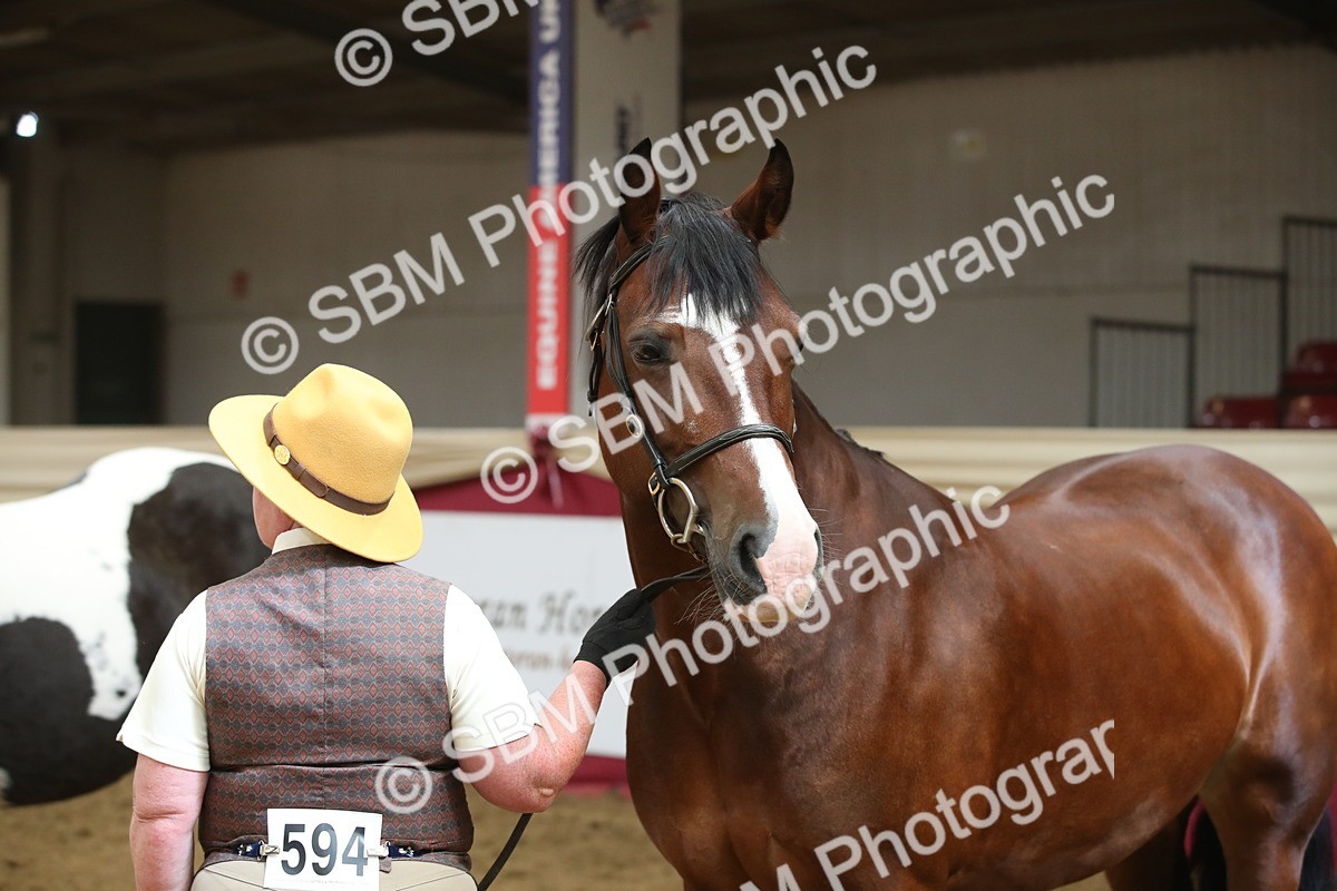 SBM_05610 - Class 9R - Regional IH Pre-Vet
