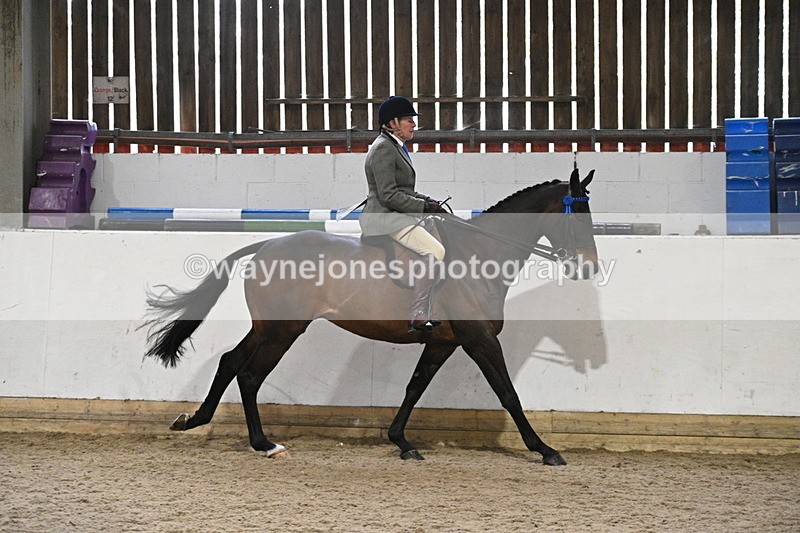 WJ7_4306 - Class 17 Ridden Cob