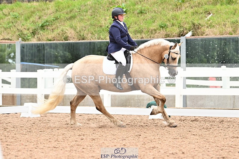 240817A-150728-10008 - 102-Chloe.Walton-Haytors.Lord.of.the.Dance