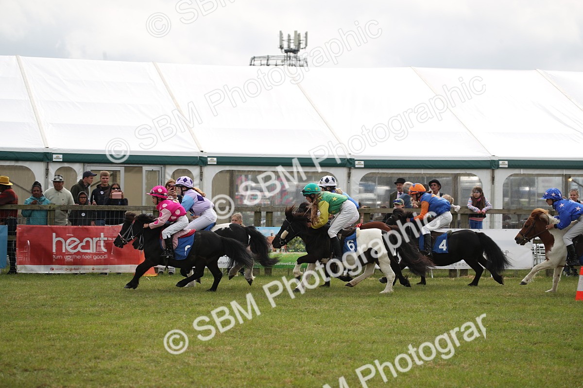 SBM_09988 - Dinky Derby