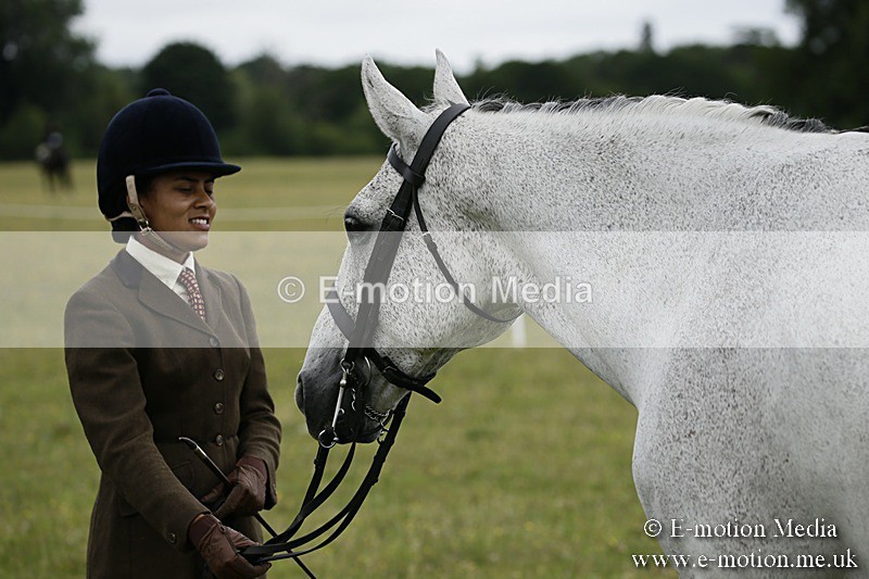 BVR160717-221 - Ring 2 BVRC Show 16/07/17