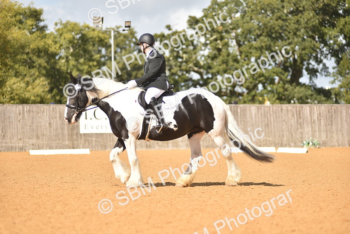 SBM_03137 - D4 - Small Tour Championship Intro 4