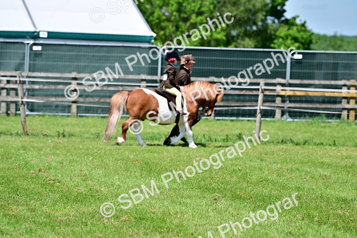 SBM_05803 - Class 59-60 - TSR M&M  Lear Rein and First Ridden Amateur of the year