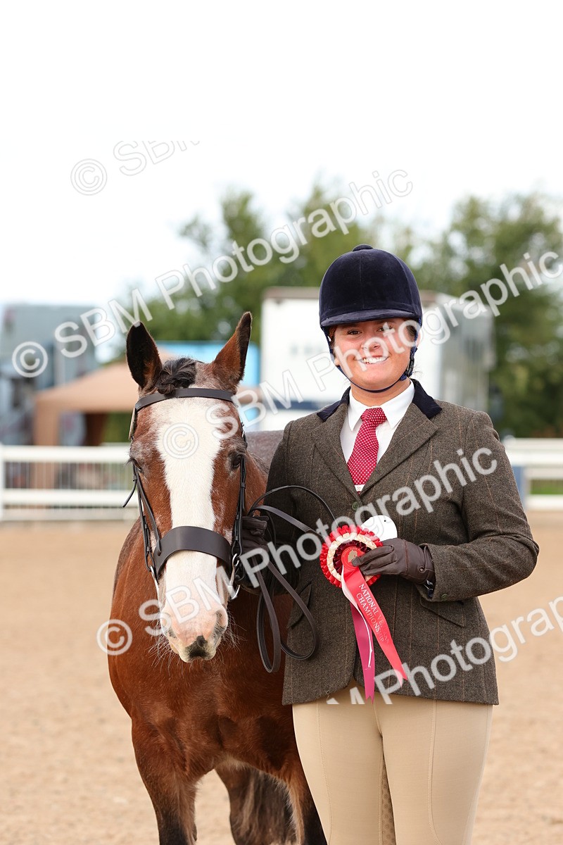 SBM_10339 - Class 206 - IH Non Show Type Pony