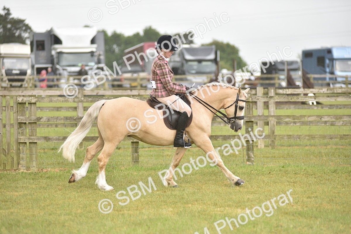 SBM_12021 - Class 110-112 - LIHS BSPS Performance Pones