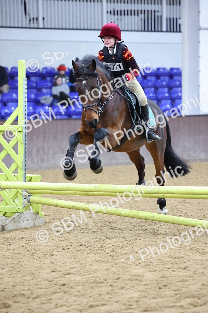 SBM_001031 - Class 3 - Christmas Tree Stakes - 60cm