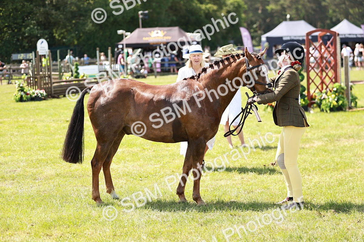SBM_15602 - Class 108-109 - BSPS LIHS Open Gradle & Nursery Stakes