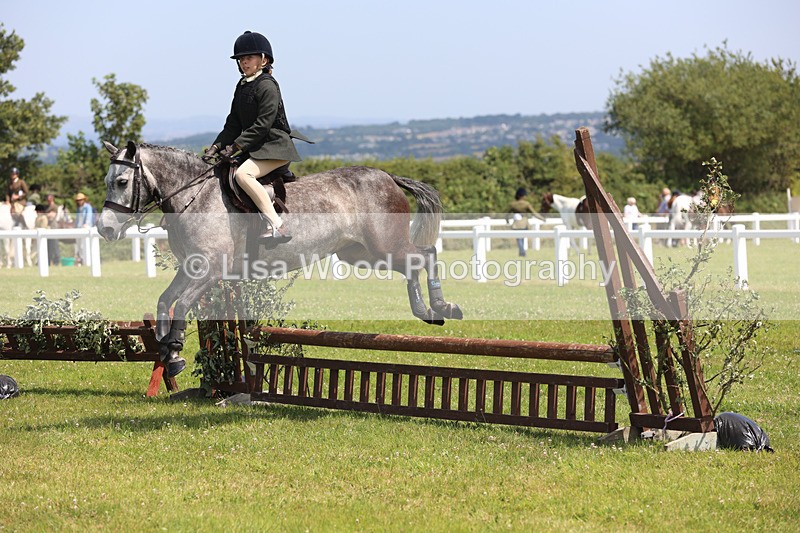 JPP_2601 - Class 21: Working Hunter 60cm