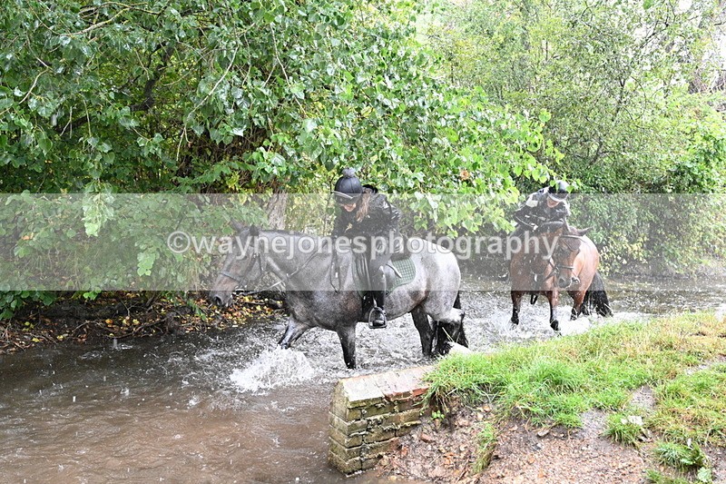 WJ7_8374 - Group 1