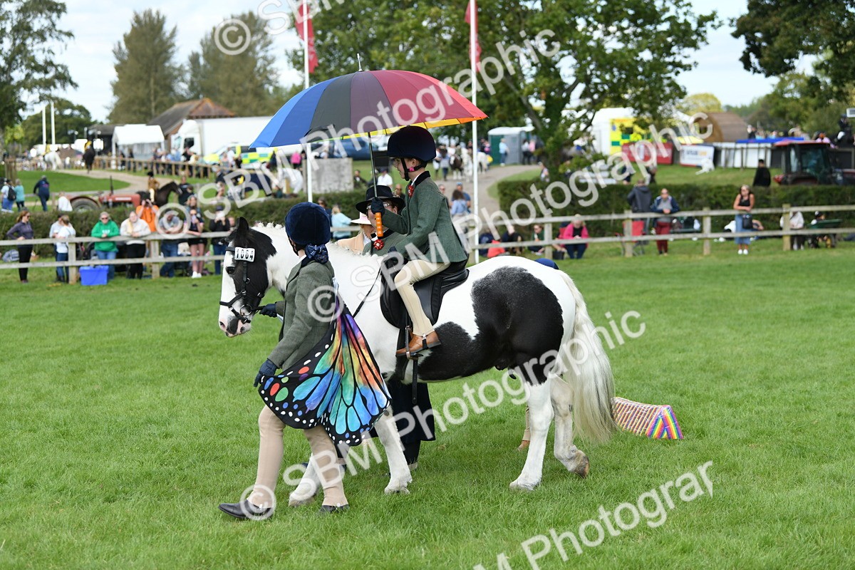 SBM_47006 - S12 - Family Horse & Pony