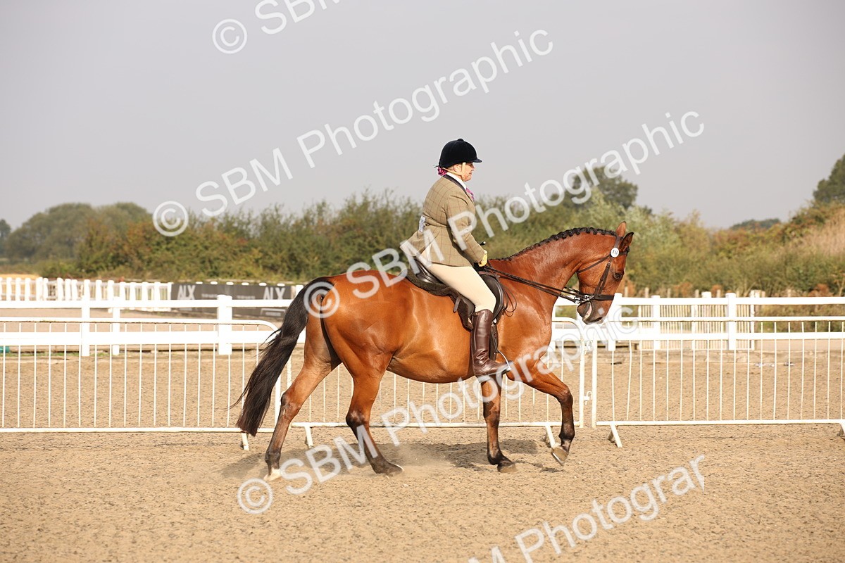 SBM_10274 - Class 402 Riding Club Horse