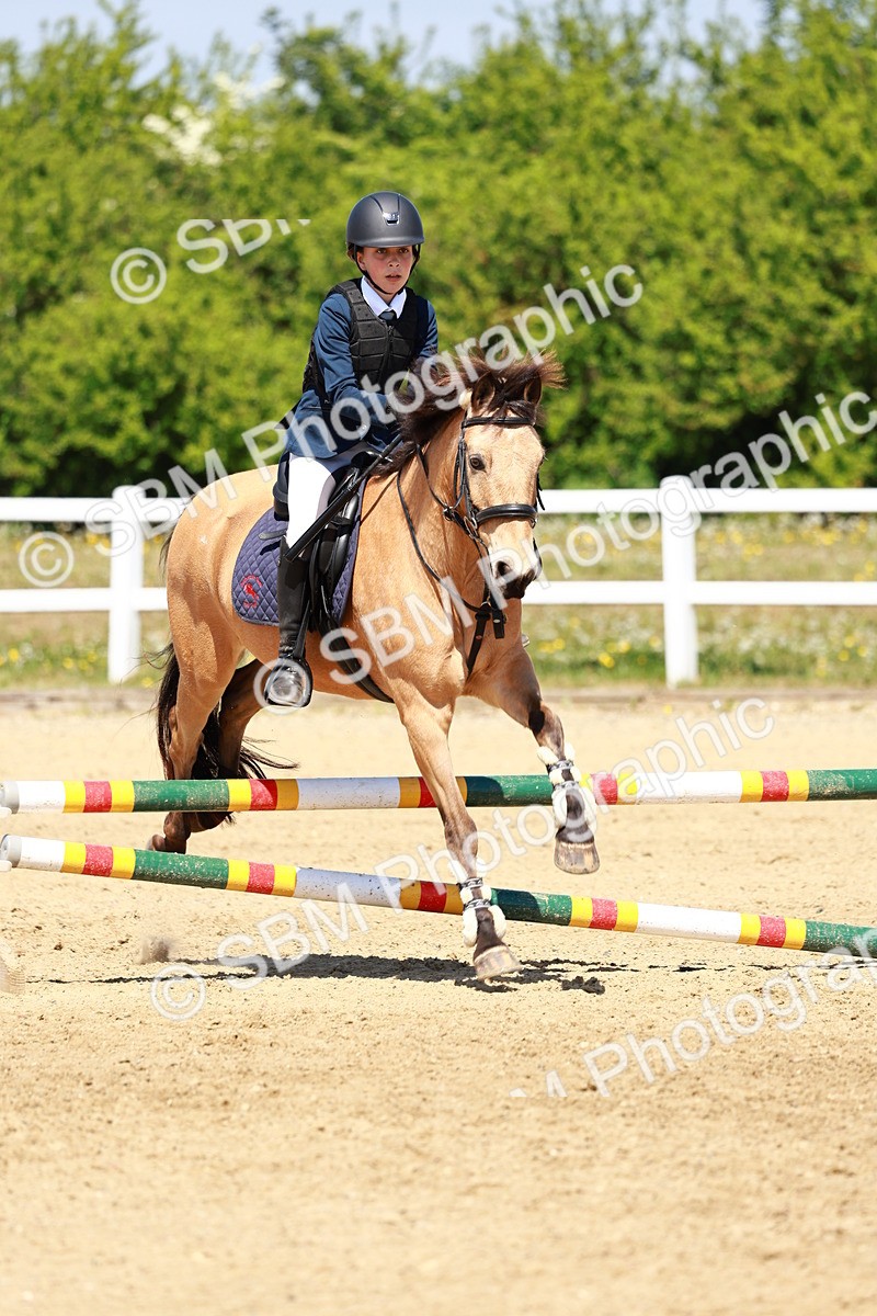 SBM_007573 - Class 3 - 60cm