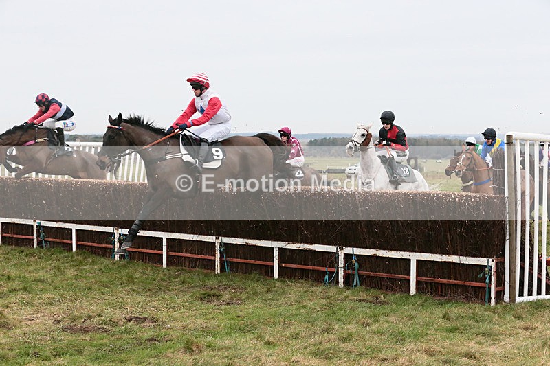 PtP 060119 34 - Larkhill Racing Club - Point-to-Point- 06/01/2019