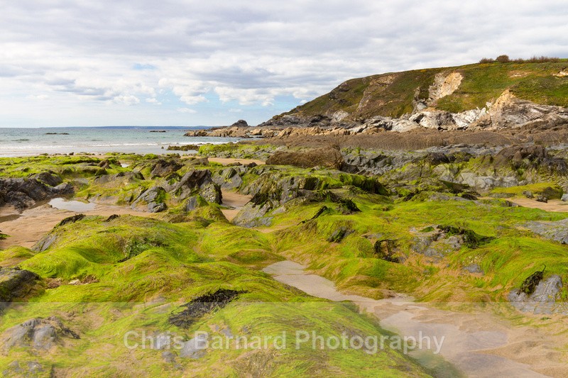  - Dollar Cove Gunwalloe