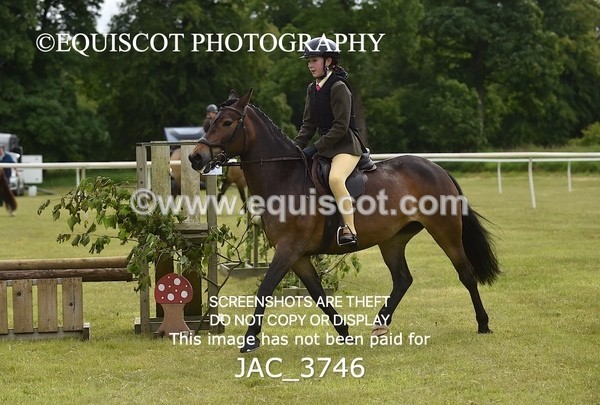 JAC_3746 - 75CM WORKING HUNTER