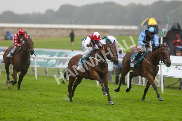 140723-Race 6-Copper Knight-8632 - Race 6 4.55pm Irish Thoroughbred Marketing Handicap