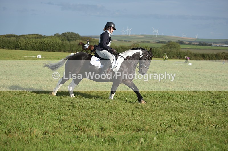 RAY_7334 - Class 2B: Trekenning Open: Dressage