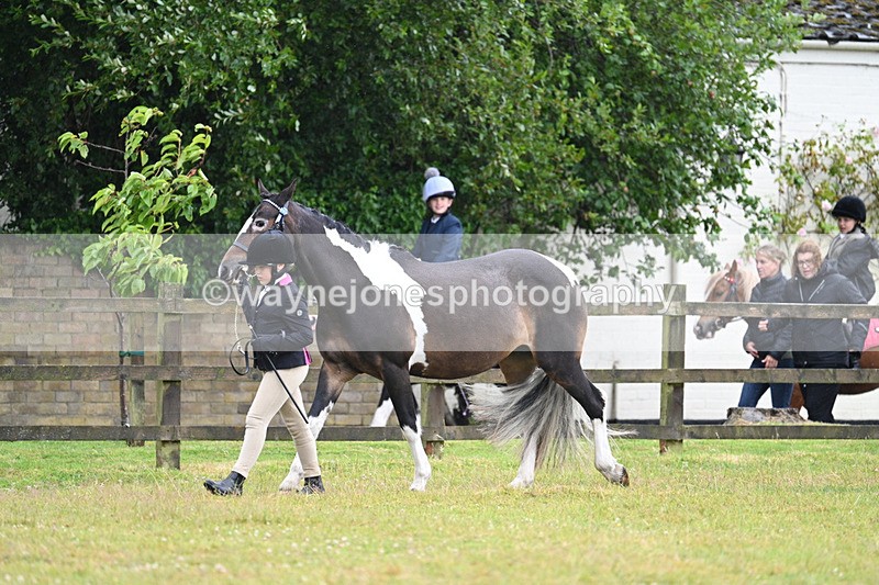 WJ7_5857 - Class 4 Prettiest Mare in Hand