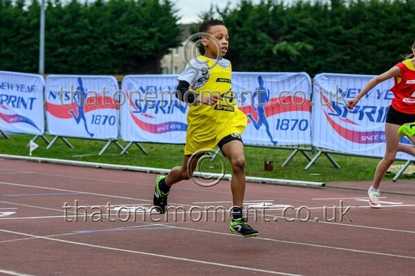 NYS2025-918439 - Set One