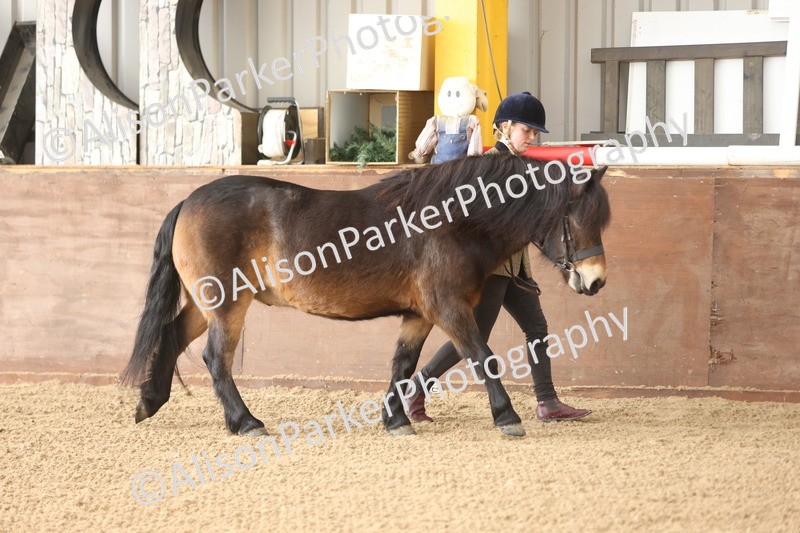 20251109-0572 - Class 22 - Geldings 4 Years and over