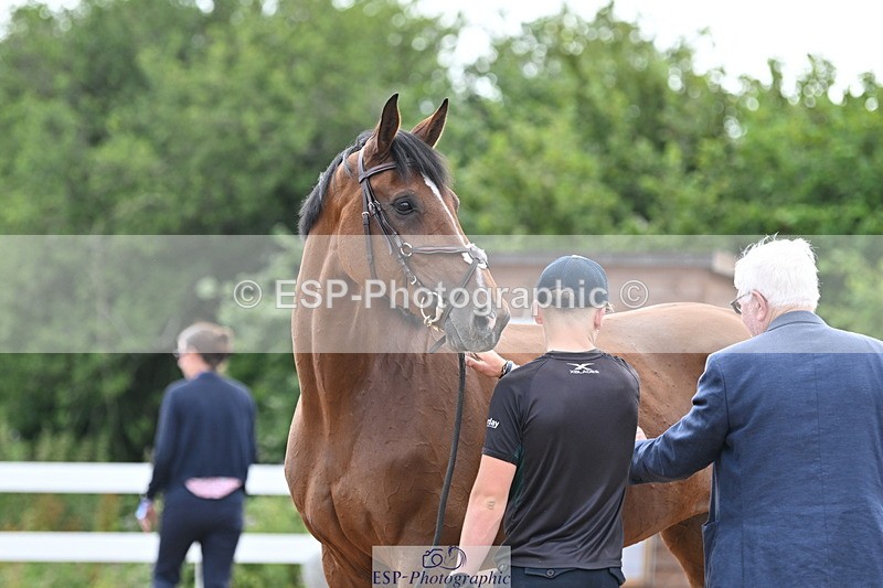 240717A-143556-02136 - Trot Up 2pm to 3pm - This folder is not in time order
