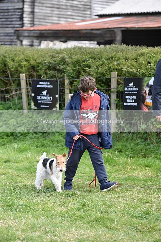 WJ5_0756 - Best in Show Championship