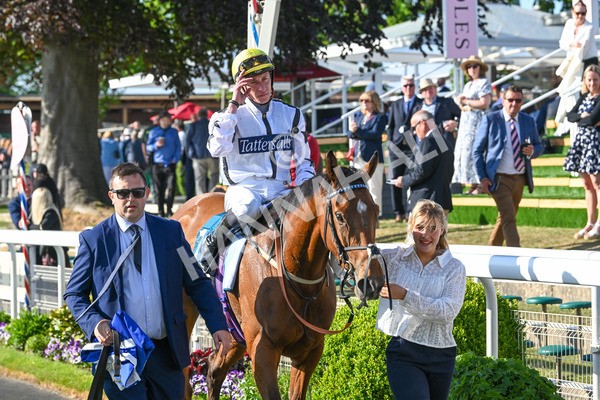 160525-Race 7-Delicacy-7540 - Race 7 5.30pm Yorkshire Equine Practice Handicap