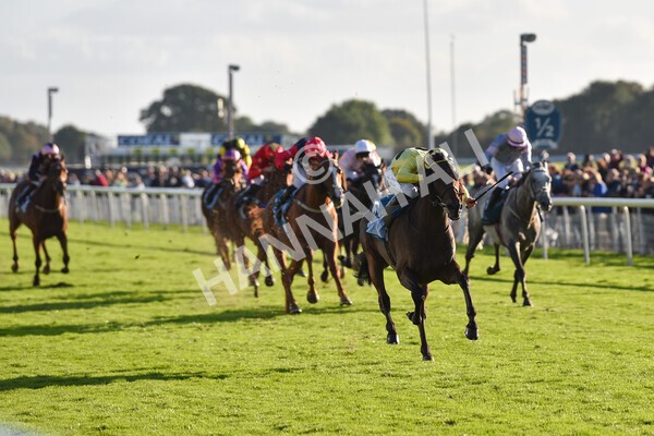 yr08102022r6-36 - Race 6 4.25pm The Watch Racing Online Free With Coral Handicap Stakes