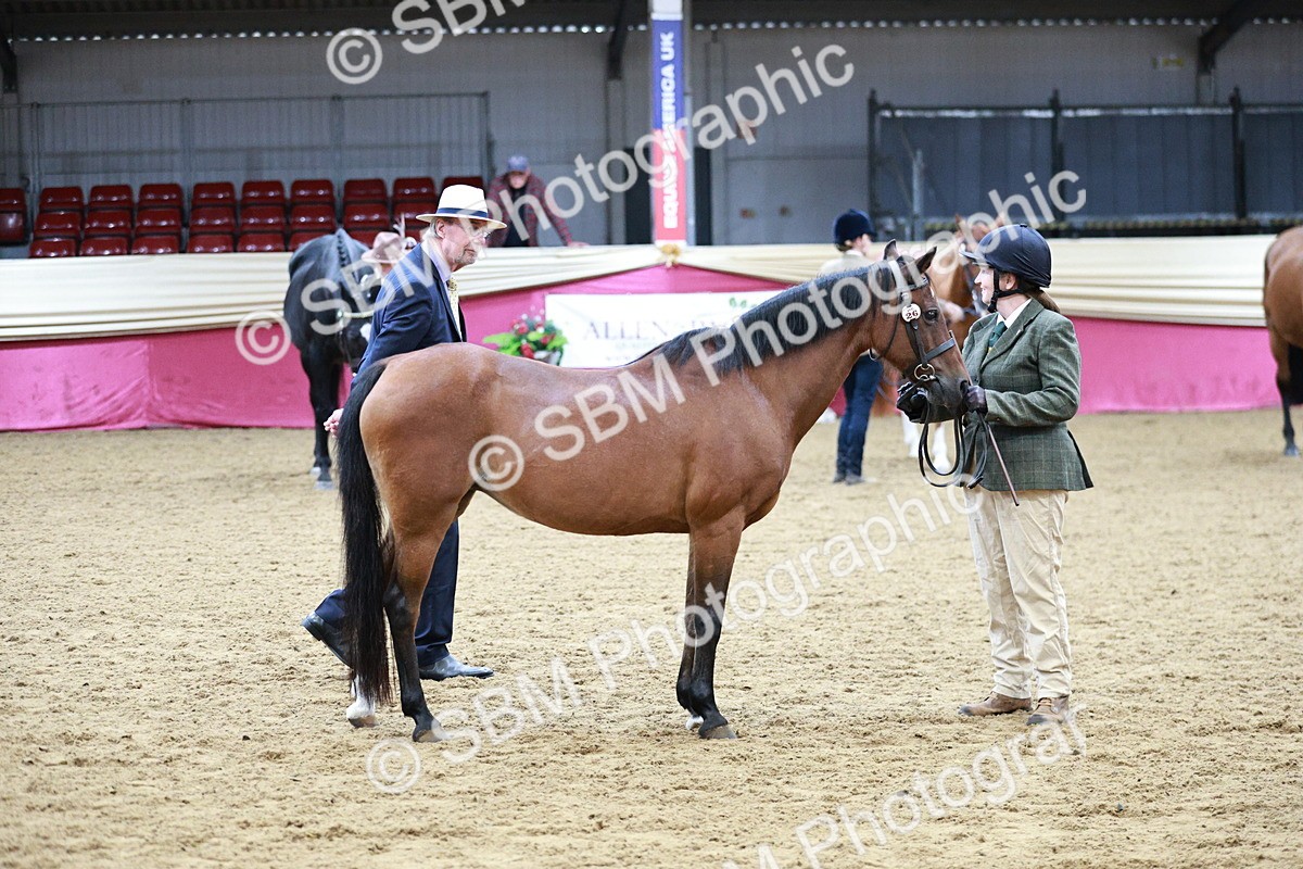 SBM_00292_Class 1a - Area - IH  Diamond - Sally Ashwin