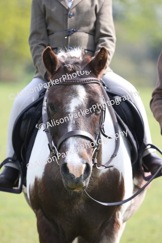 20260426-2520 - Class 31 - Leading Rein