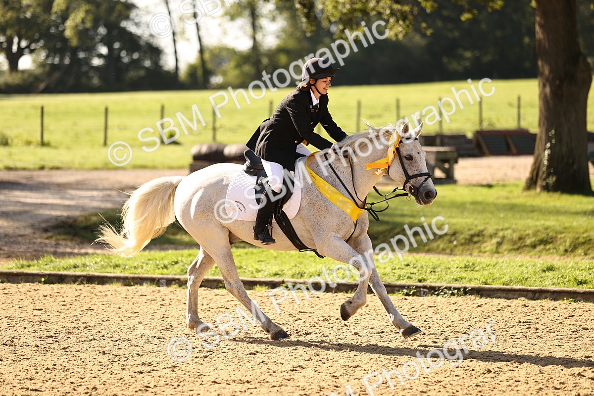SBM_35250_J38 - Senior 80cm Championship - Michaela
