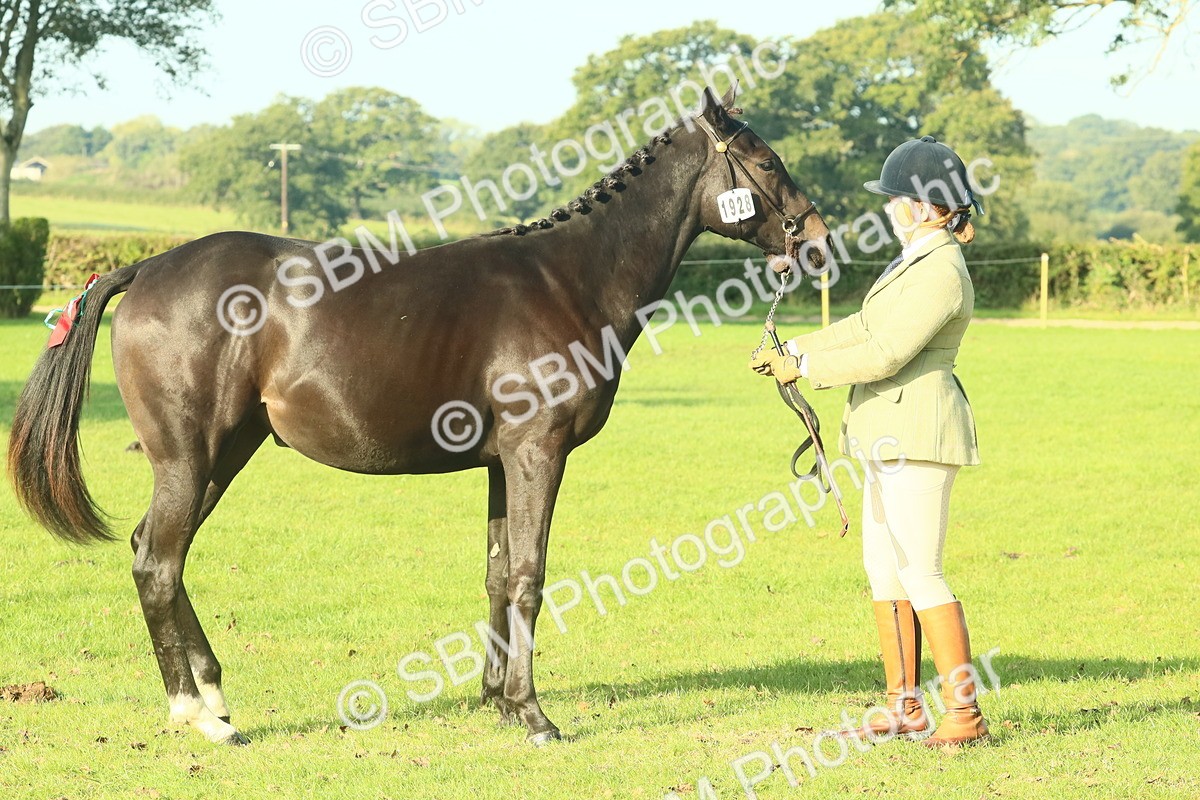 SBM_58570 - S37 - Starters In Hand Showing