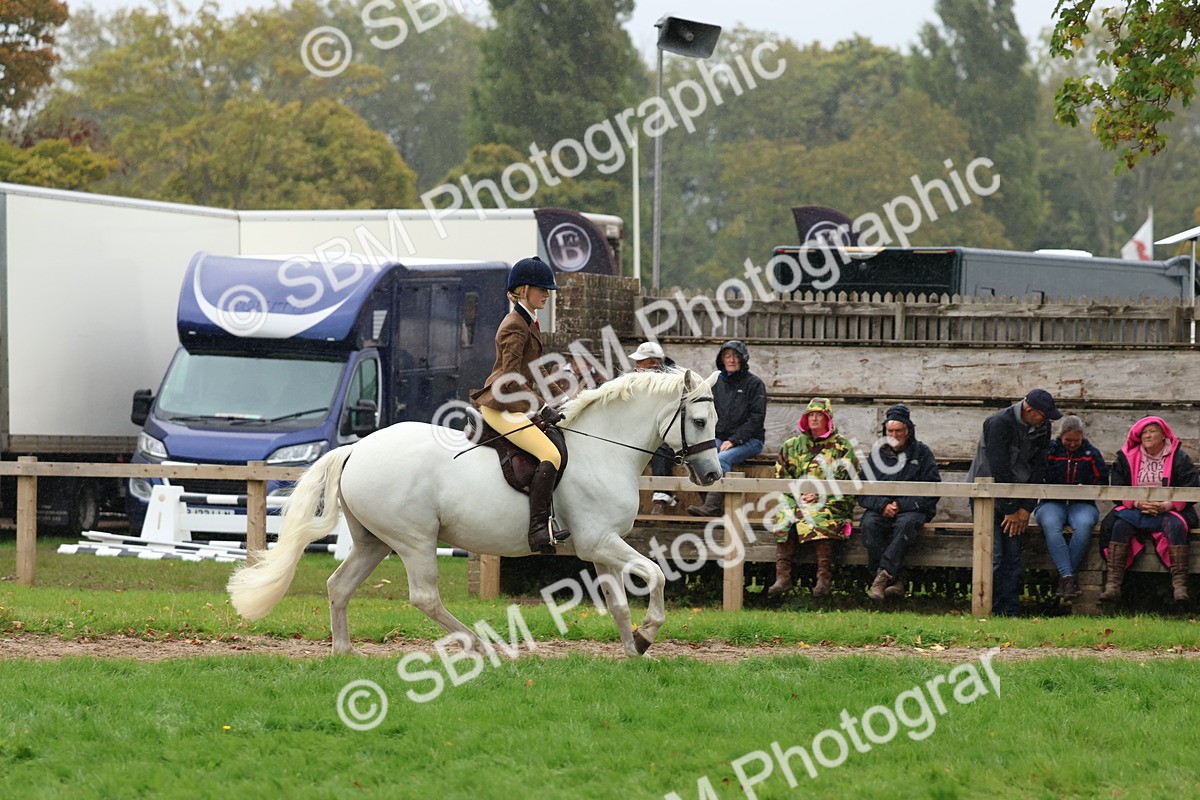 SBM_69686 - S62 - Mountain & Moorland Ridden Large Breeds